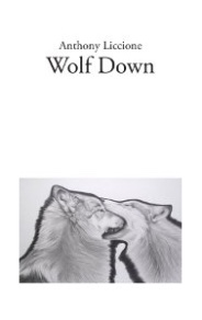 Wolf Down cover